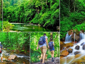 Sinharaja Rain Forest Day Tour from Udawalawa