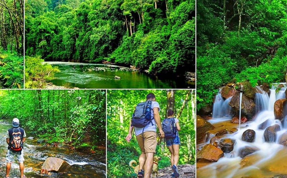 Sinharaja Rain Forest Day Tour from Udawalawa