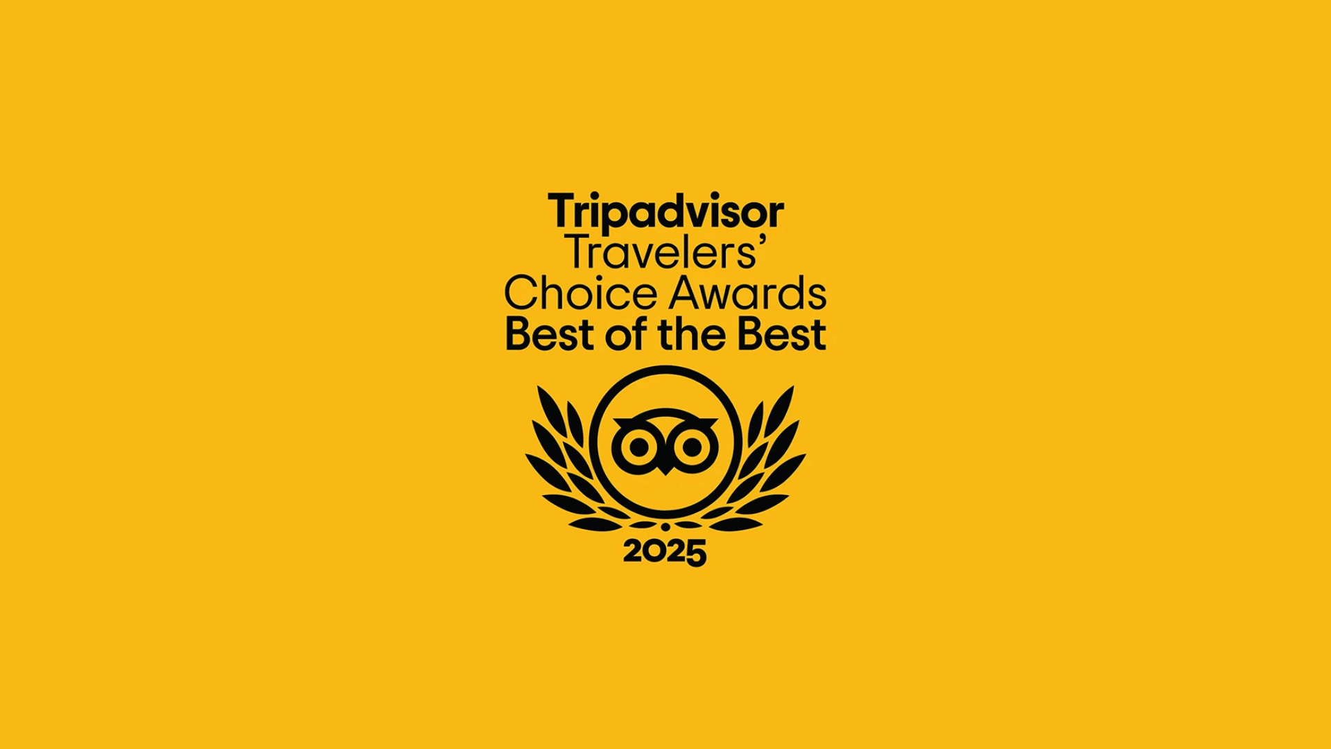 Panoramic and Historical Walking Tour of Naples Between Secret Streets, Rich and Poor Neighborhoods