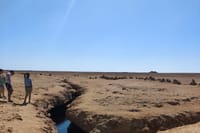 Private Half Day Tour By Minibus To Ras Mohammed National Park  7