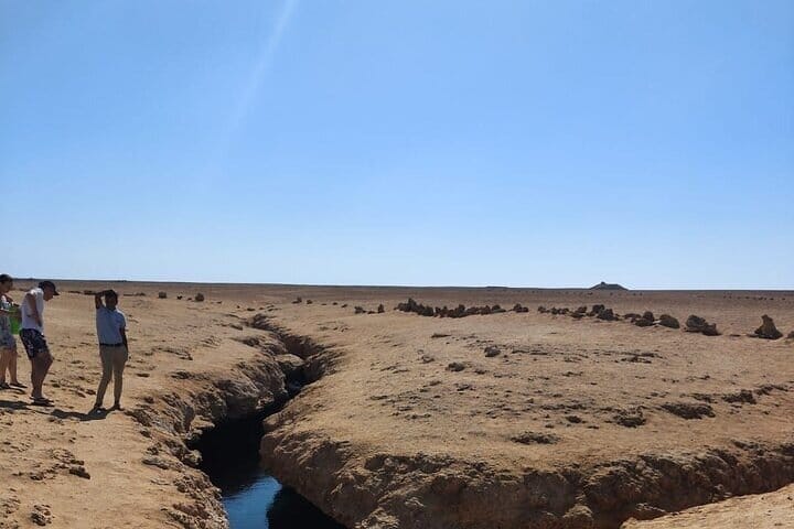 Private Half Day Tour By Minibus To Ras Mohammed National Park  7