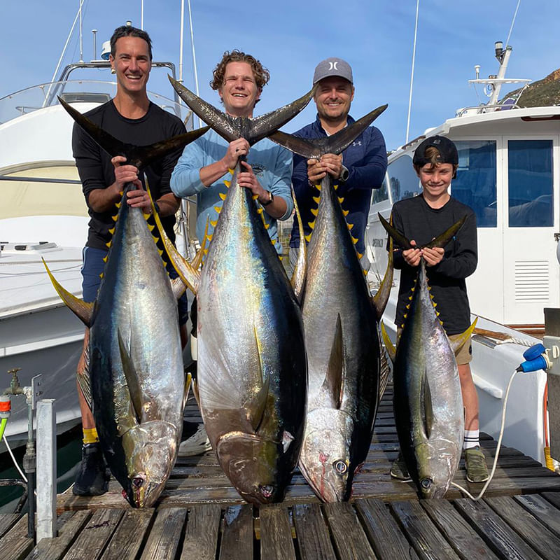 Guided fishing tours for all skill levels in beautiful South African waters.