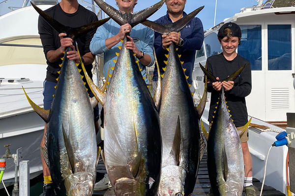 Guided fishing tours for all skill levels in beautiful South African waters.