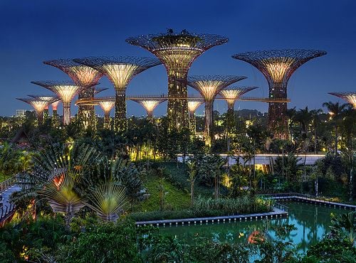 Botanic Adventures at Gardens by the Bay product photo