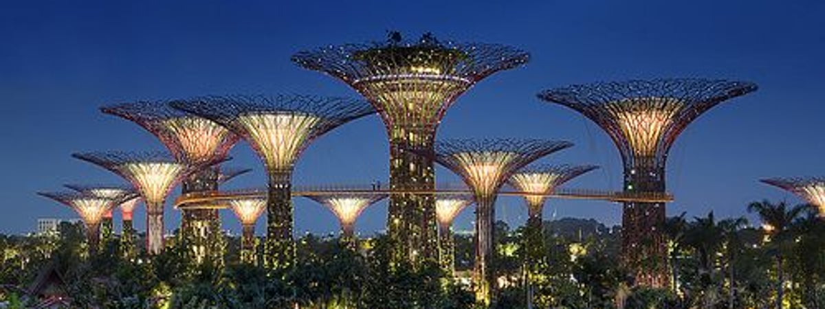 Botanic Adventures at Gardens by the Bay product photo