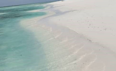 Paradise Beach Tour: Pemba Island’s Best-Kept Secret