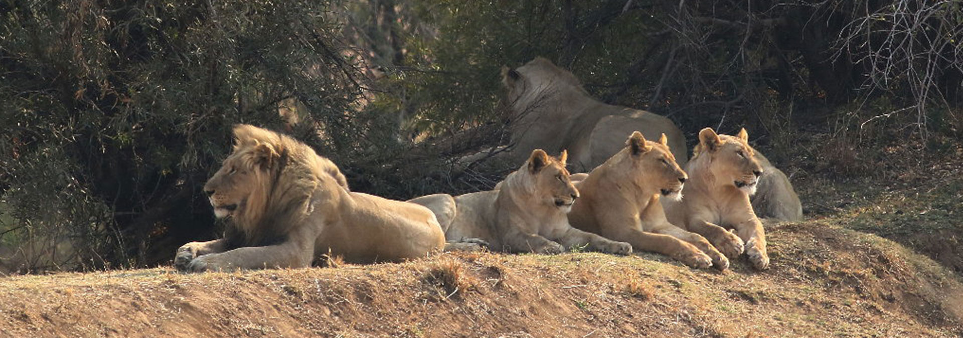 Scenic views of Sun City and Pilanesberg Game Reserve
