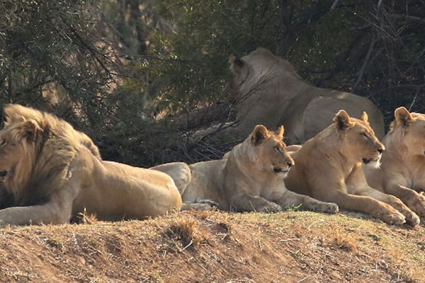 Scenic views of Sun City and Pilanesberg Game Reserve