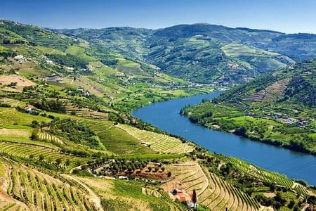 From Porto: Douro Valley: Wine Tour with Lunch Tastings & River Cruise