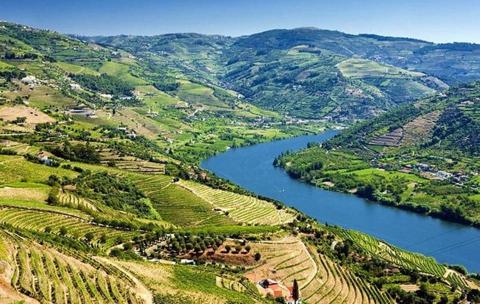 From Porto: Douro Valley: Wine Tour with Lunch Tastings & River Cruise