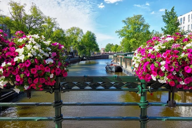 Tour with official guide in Amsterdam 7