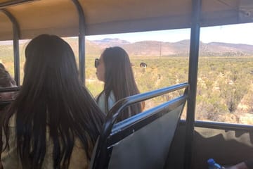 Big 5 Aquila Game Reserve Safari Full Day Tour and Lunch