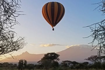 Luxury Fly-In Safari Adventure in Amboseli National Park
