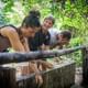 Cu Chi Tunnels Group Tour Morning or Afternoon