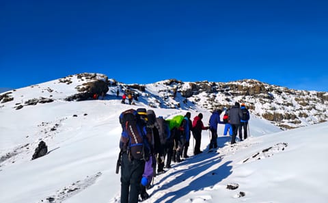 7-Day Mount Kilimanjaro Climb: Classic Machame Route Adventure Hike