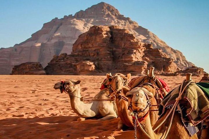 Private Wadi Rum Excursion: Explore Lawrence of Arabia’s Desert Wonderland