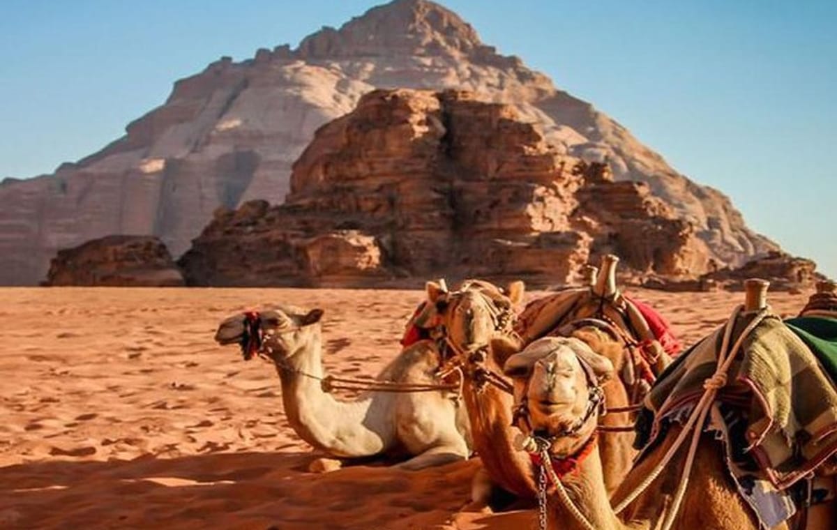 Private Half-Day Aqaba Shore Excursion to Wadi Rum Lawrence of Arabia