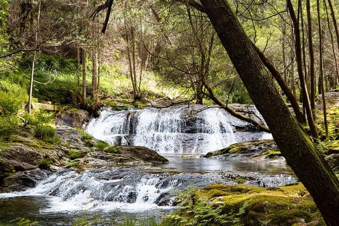 Serra d'Arga: Senderismo, Baño y Cena como un Local en un Rincón Secreto – image 31
