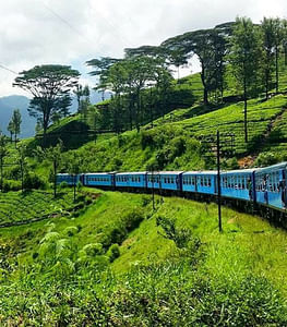 Ella to Kandy train ride on (Train No: 1006 