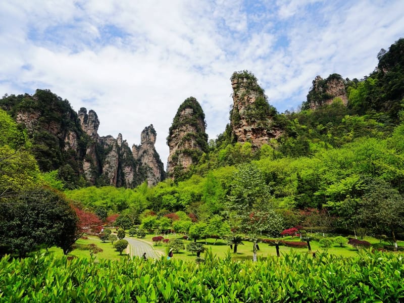 One-Day Zhangjiajie National Forest Park Tour