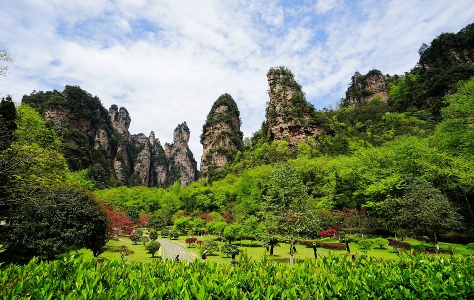 Zhangjiajie National Forest Park Sightseeing Tour