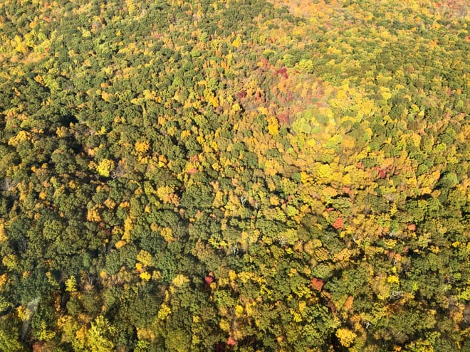 Private Hudson Valley Fall Foliage Helicopter Charter from Manhattan for up to 5 People photo 6