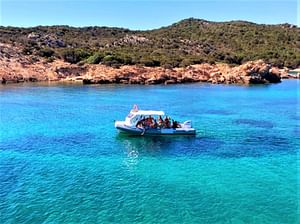 From Olbia: RIB tour to Capo Figari with dolphin sighting