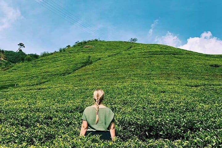 Kandy & Nuwara Eliya | 2 Days Tour