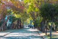 Istanbul: Princes’ Islands Tour with Lunch and Transfers 5