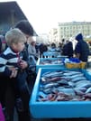 Food tour and Street art in the oldest district in Marseille: le Panier 6