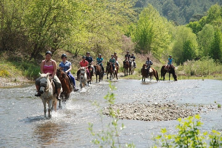 Horse Riding 2-hours tour in Marmaris