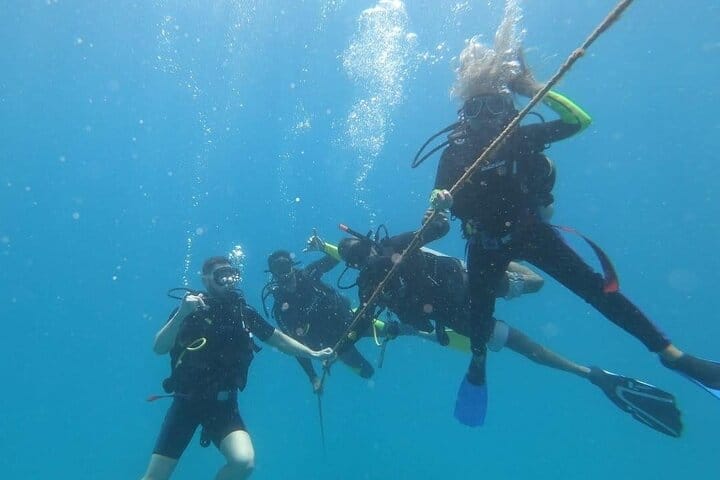 5 tours in 1 (Eco Farm/Horseback/City Tour/Buggy/Zipline)