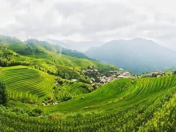 Longji Rice Terrace