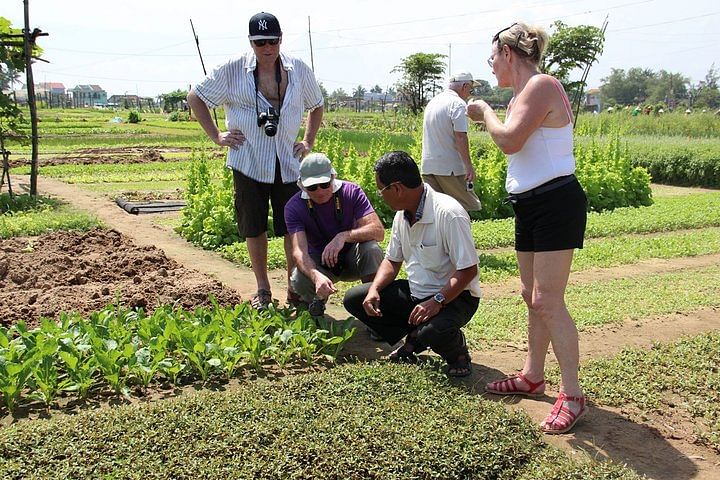 Lantern Making & Farming Experience in Hoi An: Create & Cook