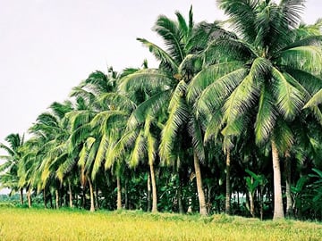 Mekong