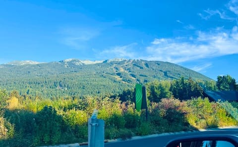 Private Transfer from Vancouver to Whistler Resort