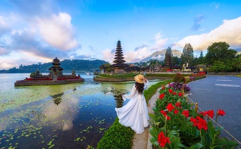 Bali Rice Terraces and Beratan Lake Full-Day Tour