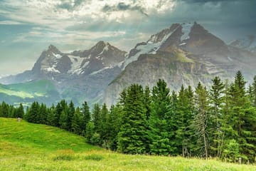 Guided Murren Panoramic Walk with Alpine Views and Meadows
