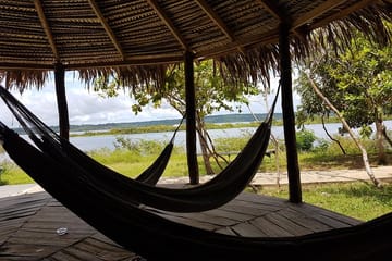 Amazon Jungle Adventure: 6-Day Tour from Manaus
