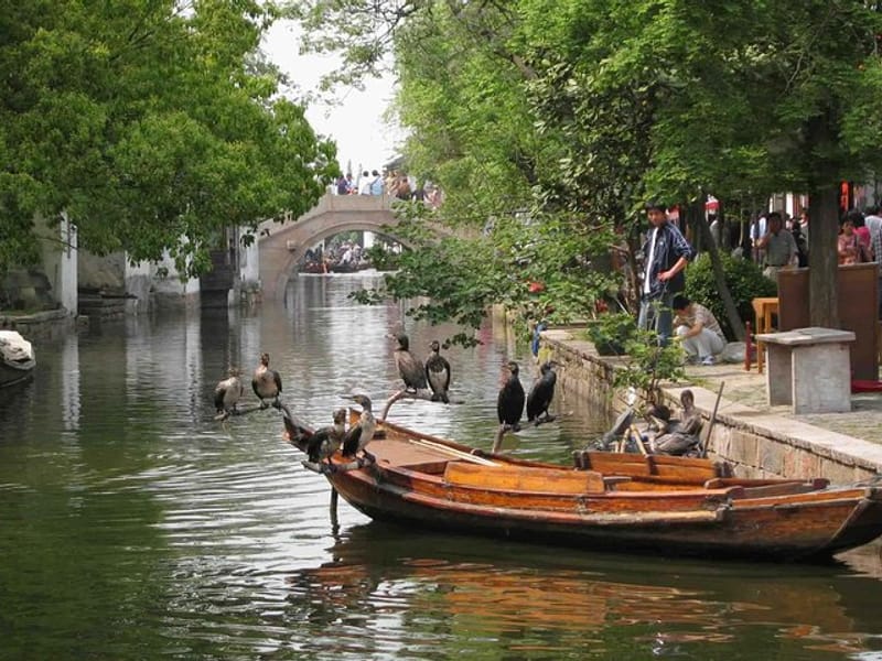Private Round Trip Transfer to Suzhou & Zhouzhuang from Shanghai