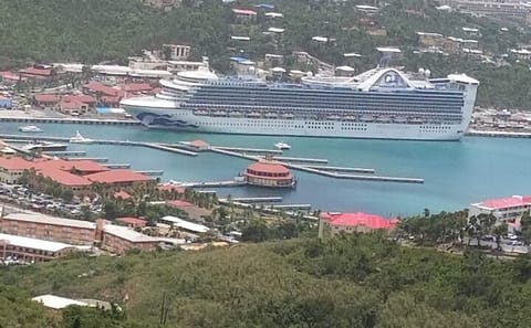 Scenic Skyline Drive and Beach Tour in Charlotte Amalie