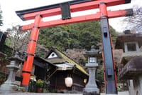 Kyoto Arashiyama Bamboo Forest Hiking Tour（Hidden Temples） 3