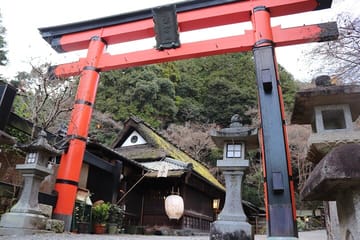 Kyoto Arashiyama Bamboo Forest Hiking Tour(Hidden Temples)