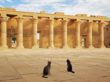 Private Hot Air Balloon Tour over Luxor's Valley of the Kings