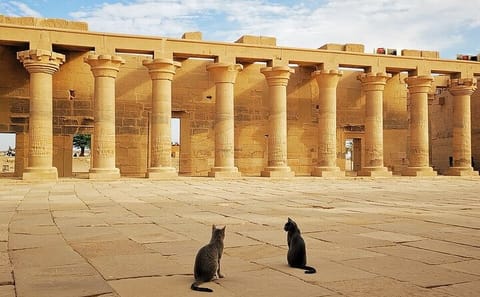 Private Hot Air Balloon Tour over Luxor's Valley of the Kings