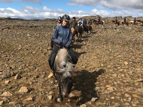 Golden Circle Horseback Riding Tour, photo 5