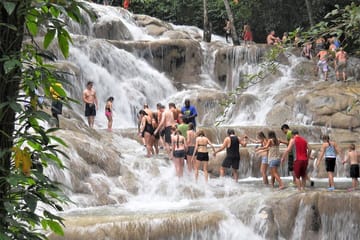 Guided Tour of Dunn's River Falls and Luminous Lagoon from Falmouth