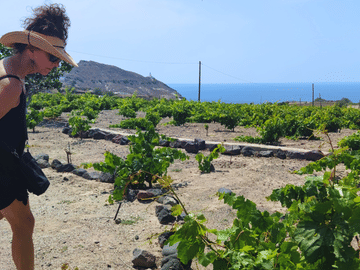 Private Food and Wine Tour in Akrotiri and Pyrgos Kallistis