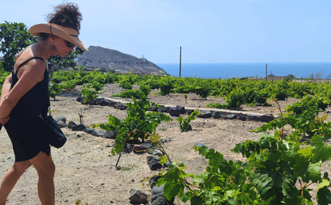 Private Food and Wine Tour in Akrotiri and Pyrgos Kallistis