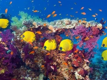 Hurghada Paradise Island Snorkeling Boat Trip